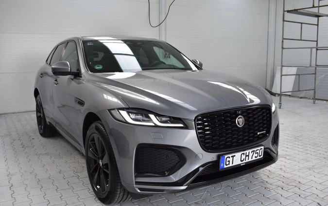 Jaguar F-Pace cena 204900 przebieg: 62000, rok produkcji 2020 z Ryn małe 781